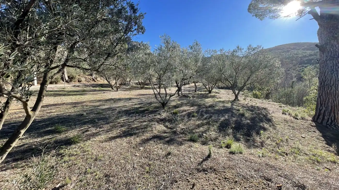 Finca rústica en venta en Vilajuïga