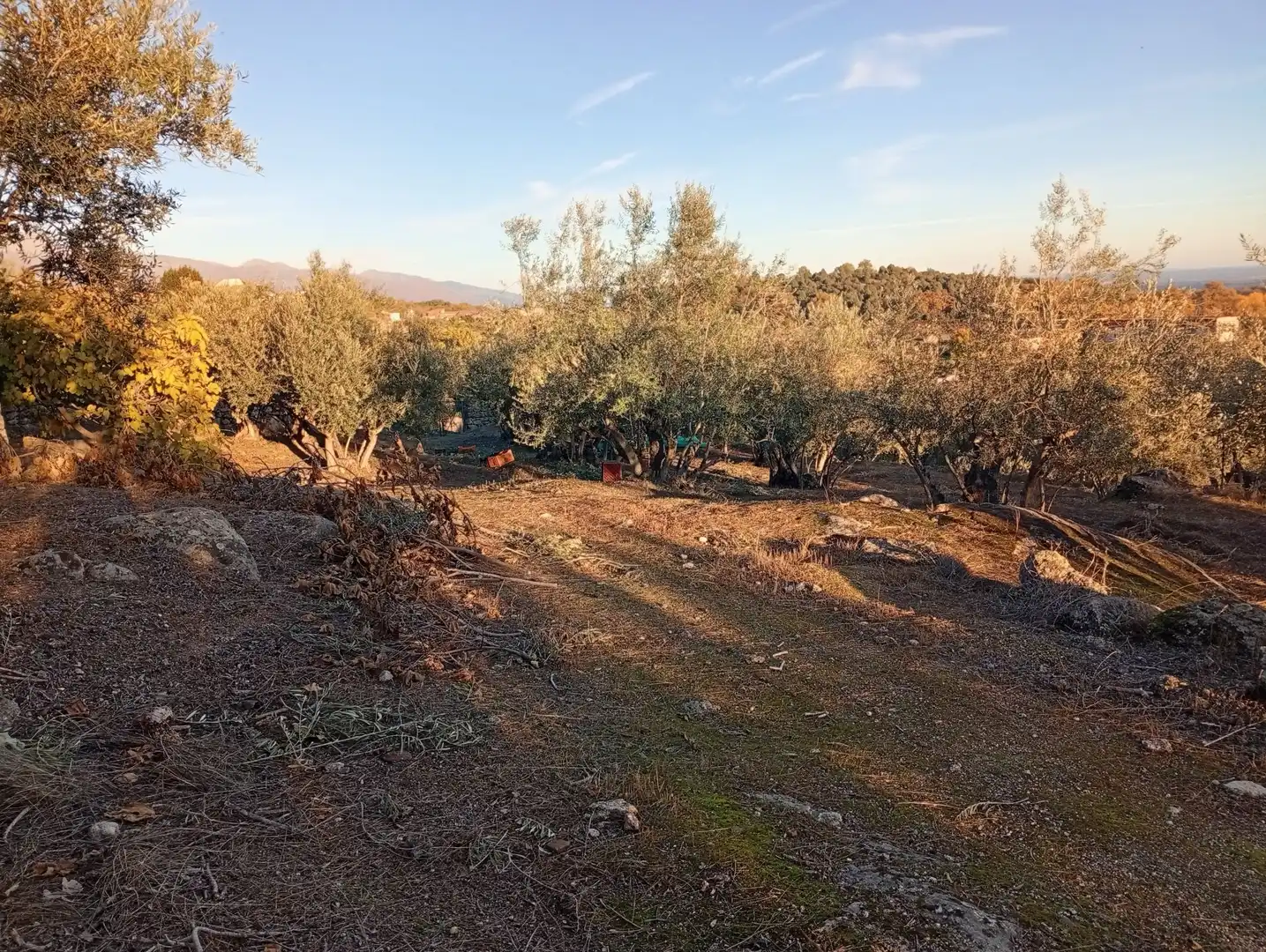 Terreni e lotti in vendita a Villanueva de la Vera, imagen 67