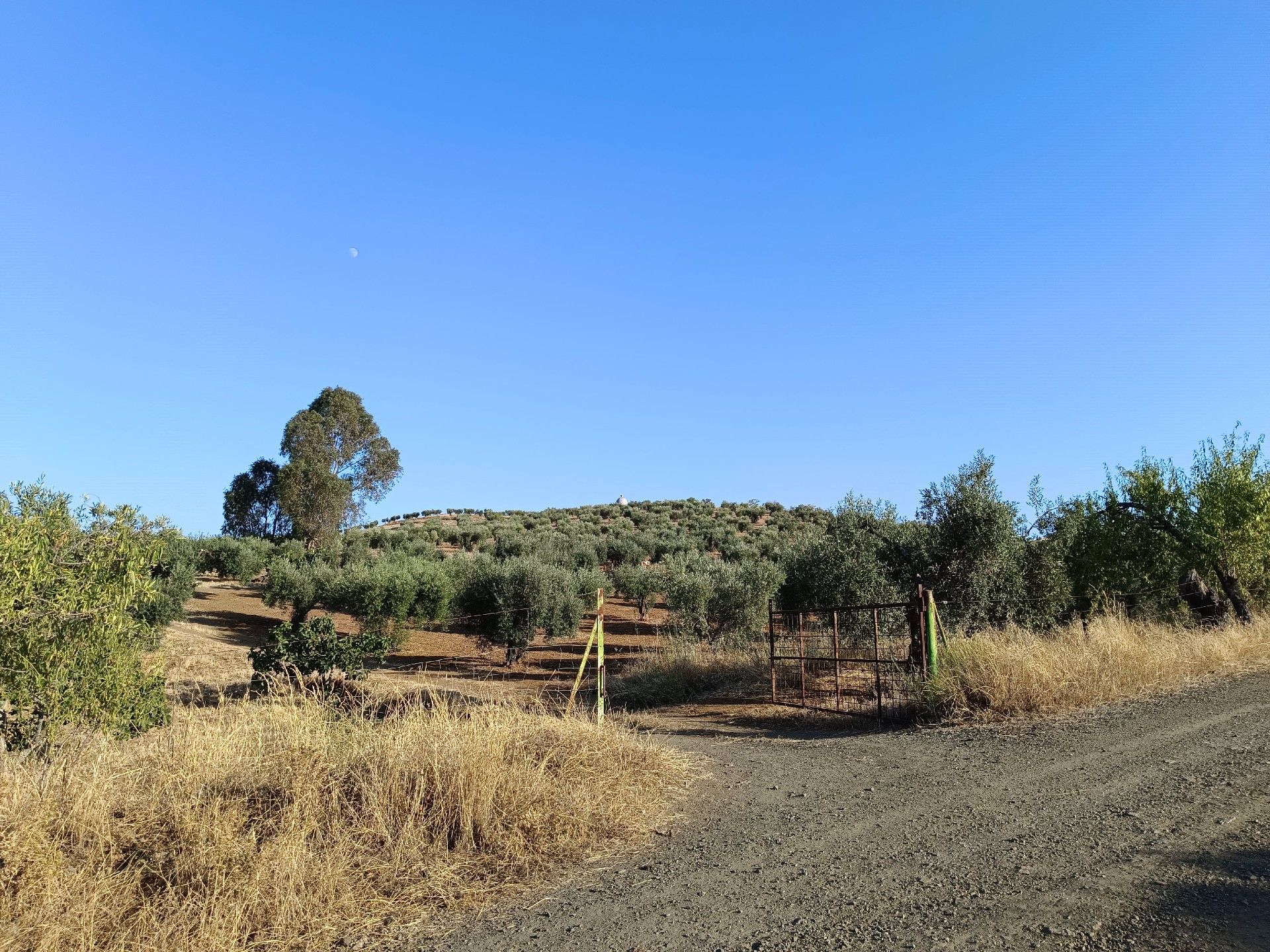 Residencial en venda a Montemolín