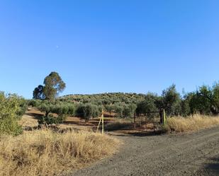 Residencial en venda a Montemolín