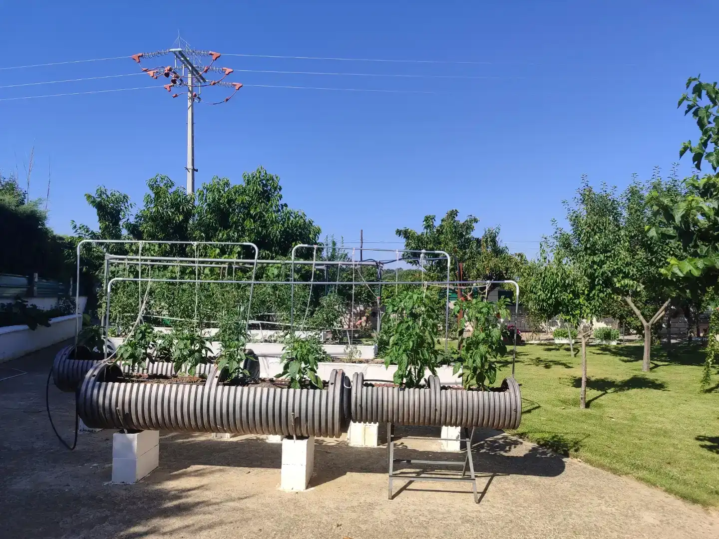 Jardín de Casa o chalet en venta en Calvarrasa de Abajo