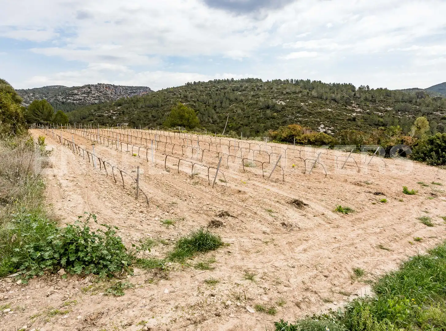 Casa o chalet en venta en Castellet i la Gornal con Aire acondicionado, Calefacción y Jardín privado