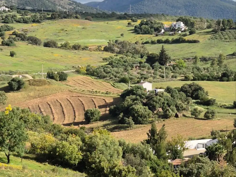Grundstücke zur Miete in Málaga