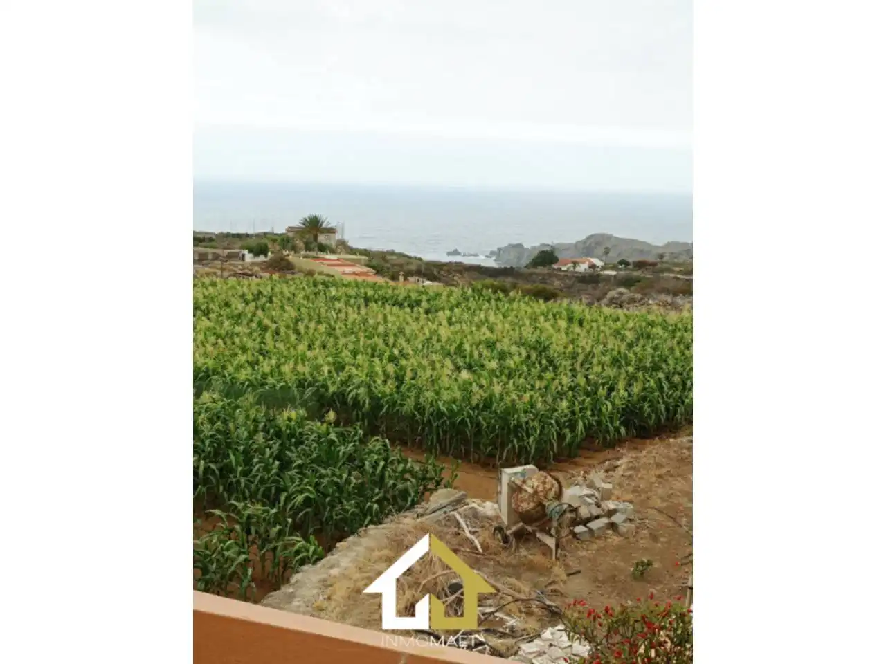Rural land for sale in Camino Cueva del Rey 12, imagen 2