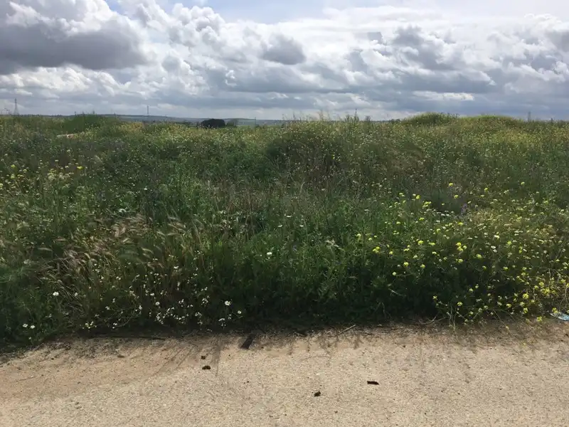 Industrial land for sale in Torrejón de la Calzada