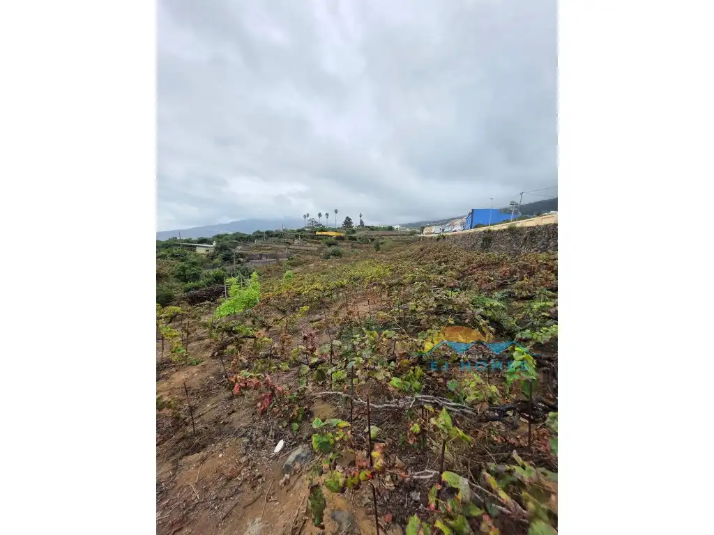 Houses for sale in La Orotava