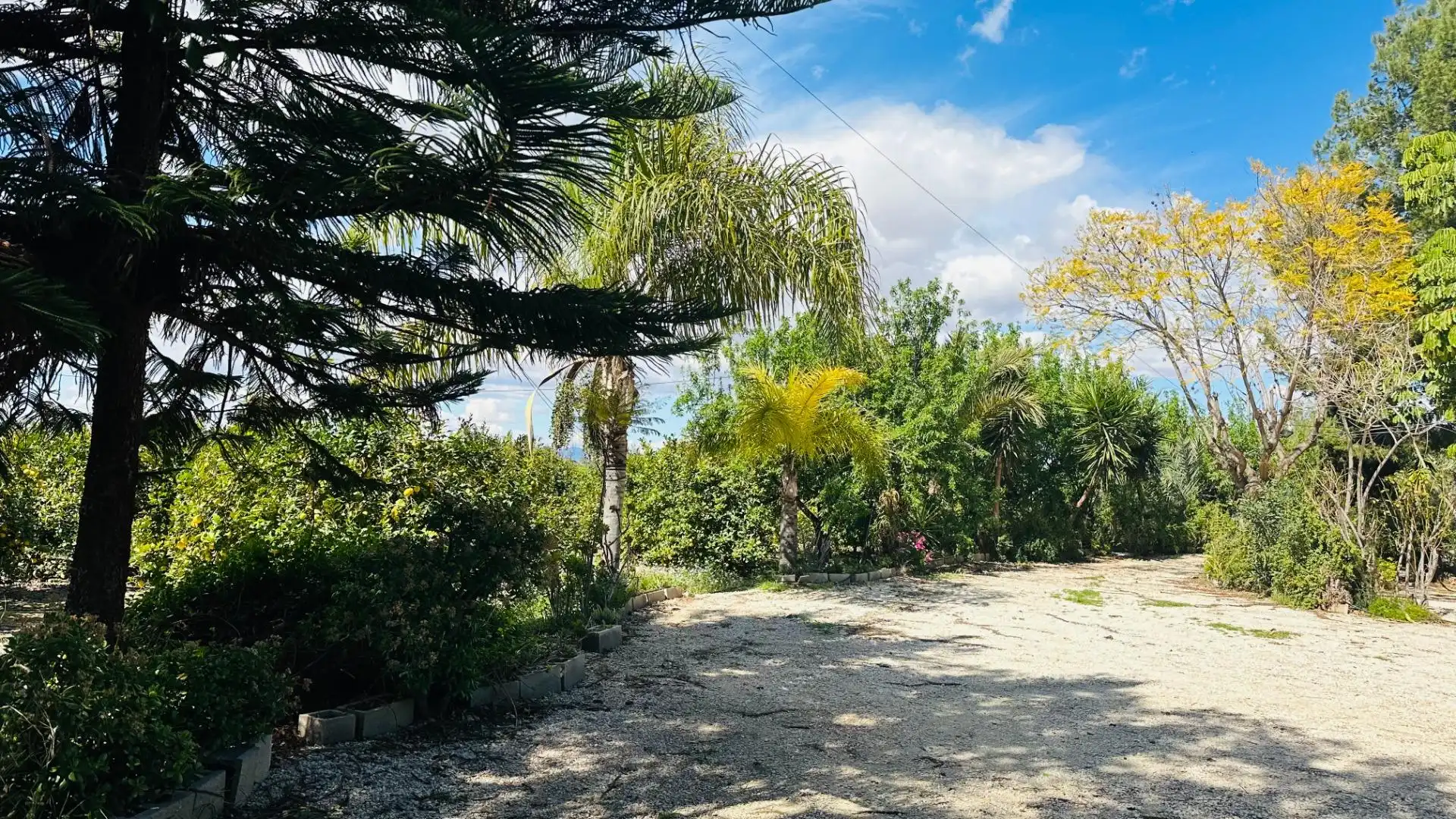 Casa o xalet en venda en Elche / Elx amb Jardí privat, Traster i Piscina