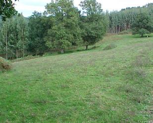 Terreny en venda en Artzentales