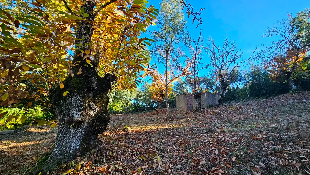 Terreni e lotti in vendita a Fuenteheridos, imagen 7
