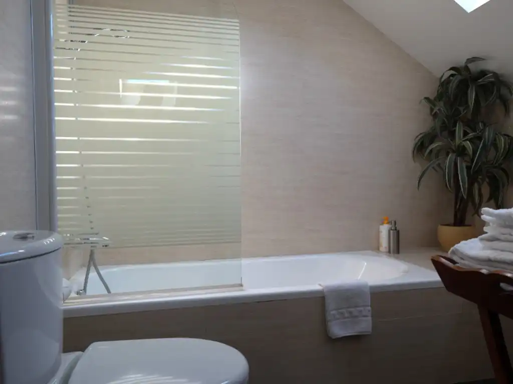 Duplexes for sale in Avenida Ordesa, Boltaña