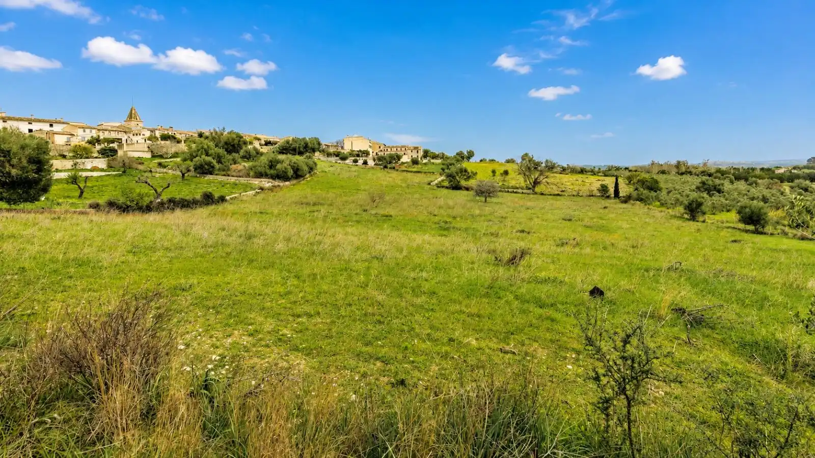 Residential for sale in Selva
