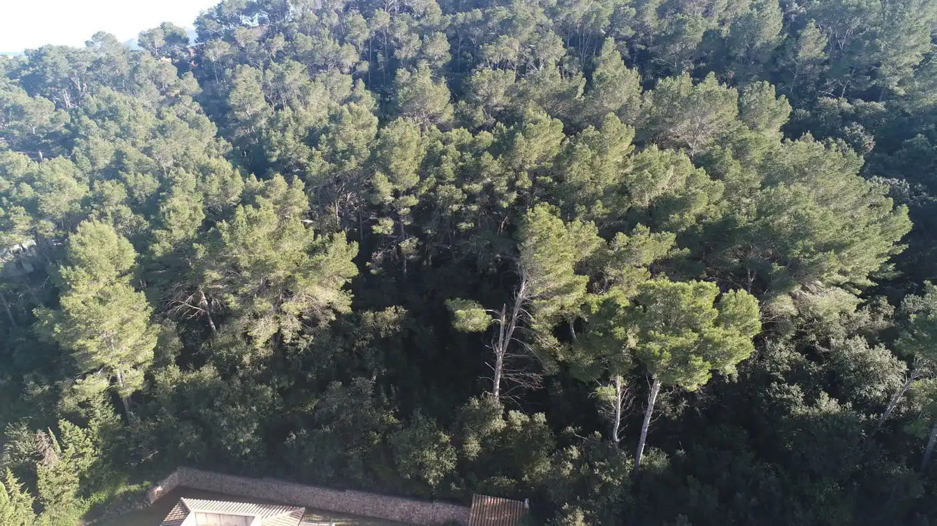 Finca rústica en venda a Port de Pollença