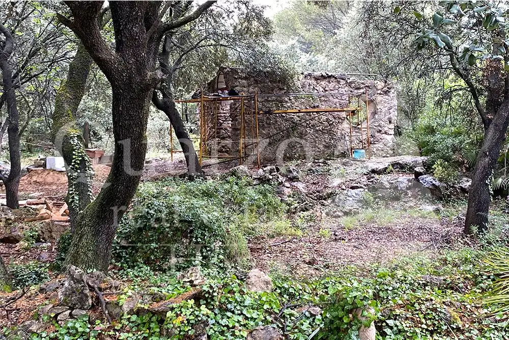 Finca rústica en venta en Vilallonga / Villalonga