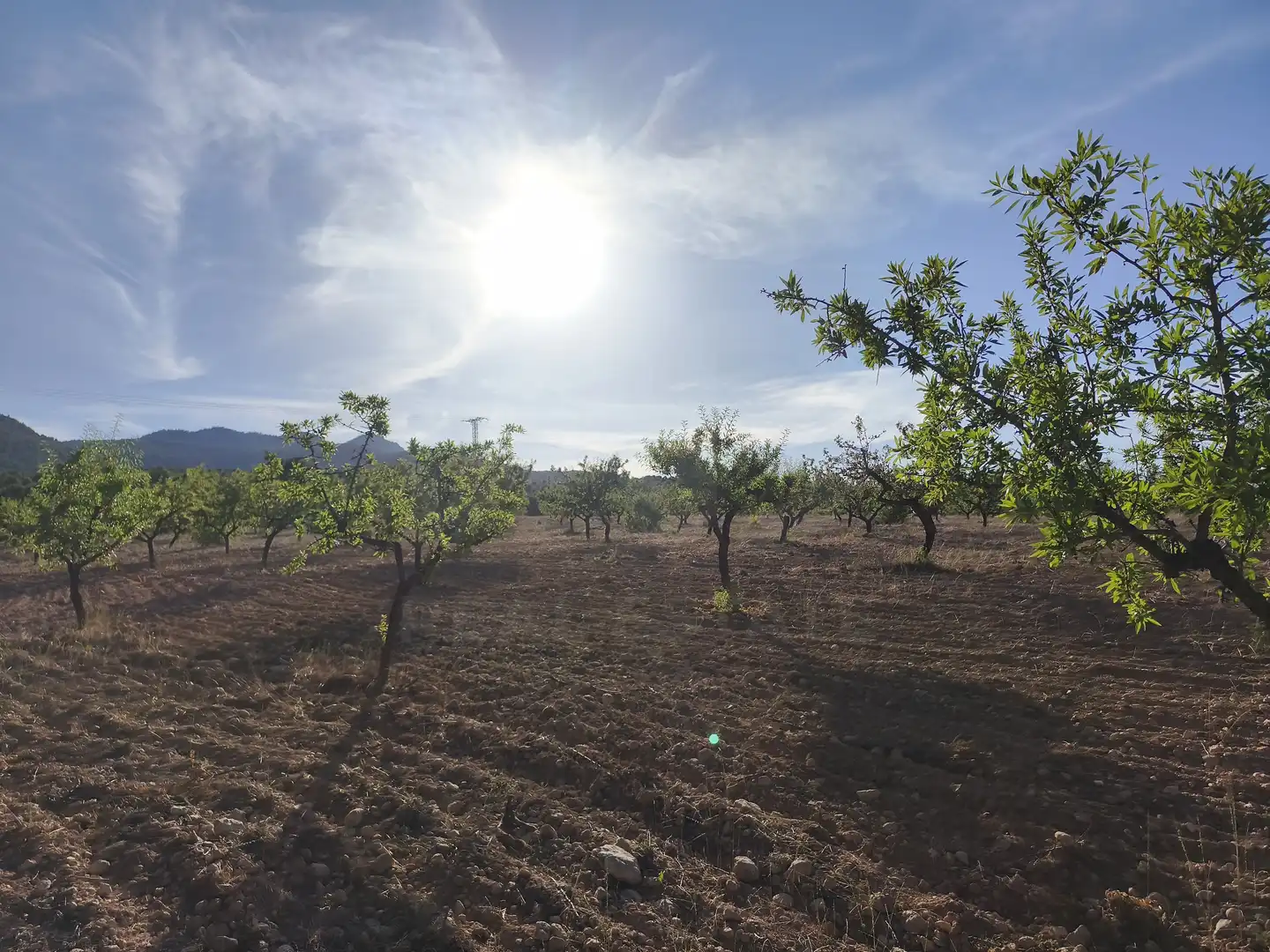 Terreno rustico in vendita a Moratalla, imagen 27