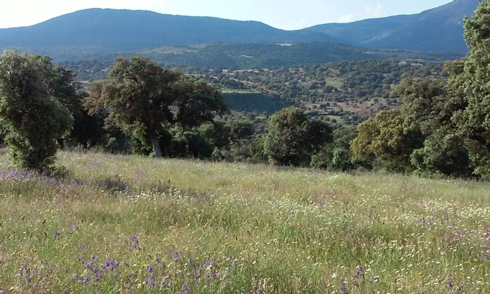 Terreni e lotti in vendita a San Román de los Montes, imagen 11
