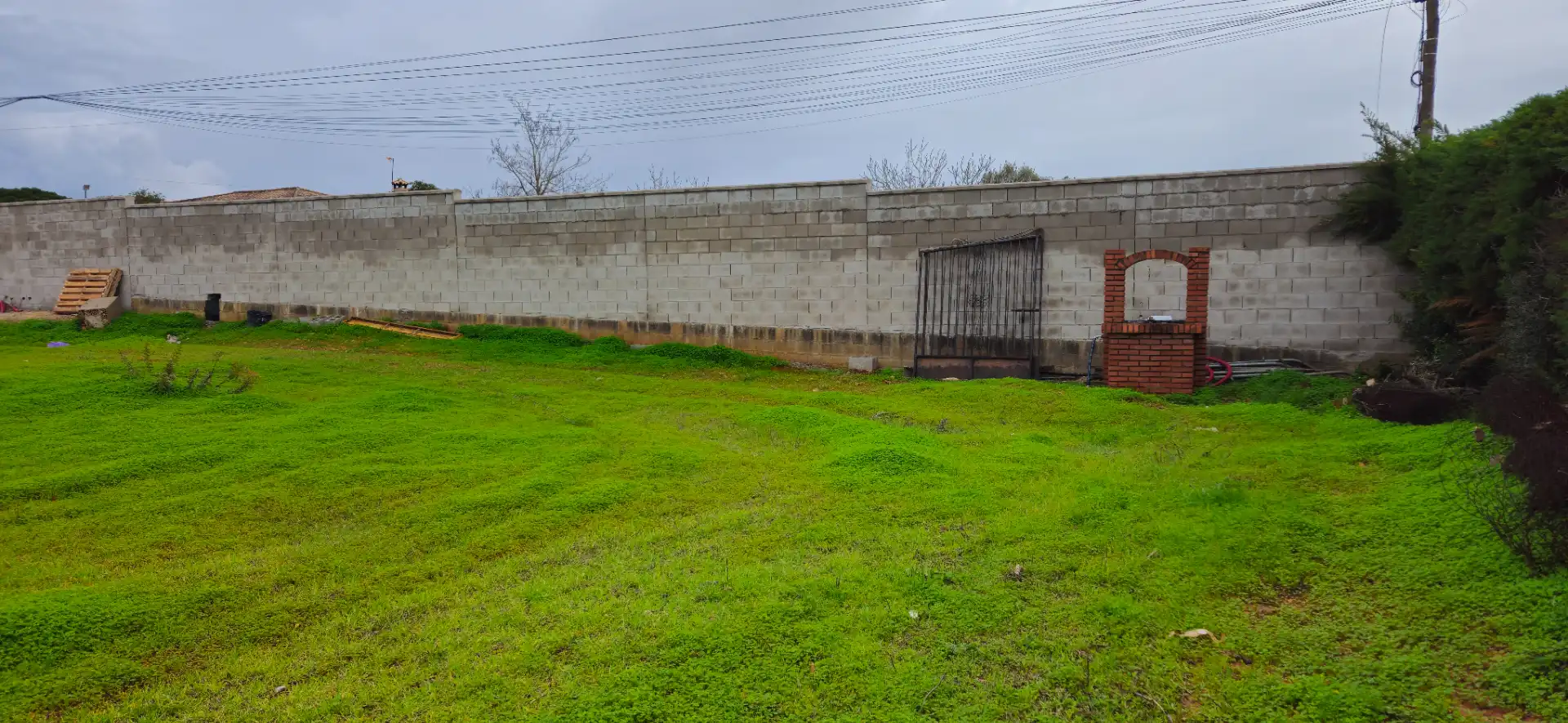 Terreny rústic en venda a Las Lagunas - Campano, imagen 3