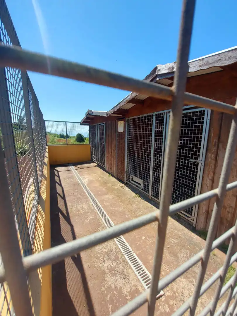 Vista exterior de Casa o xalet en venda en Tacoronte amb Jardí privat, Parquet i Terrassa
