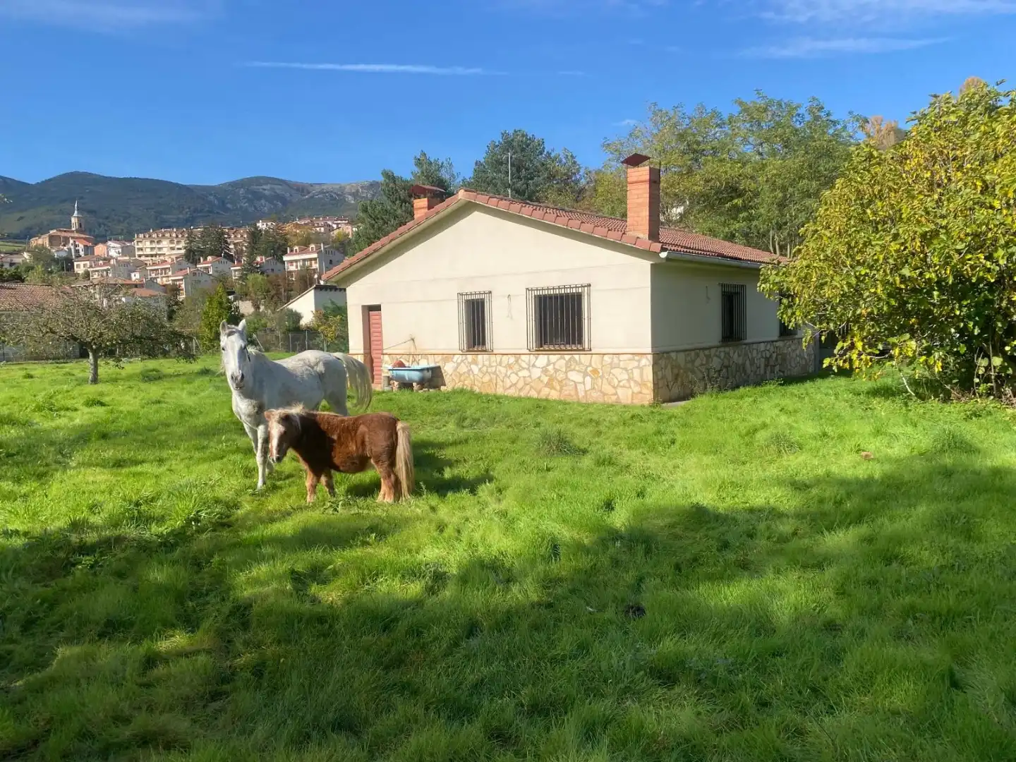 Xalet amb jardí en venda a Pedro Sagasta 48, imagen 22