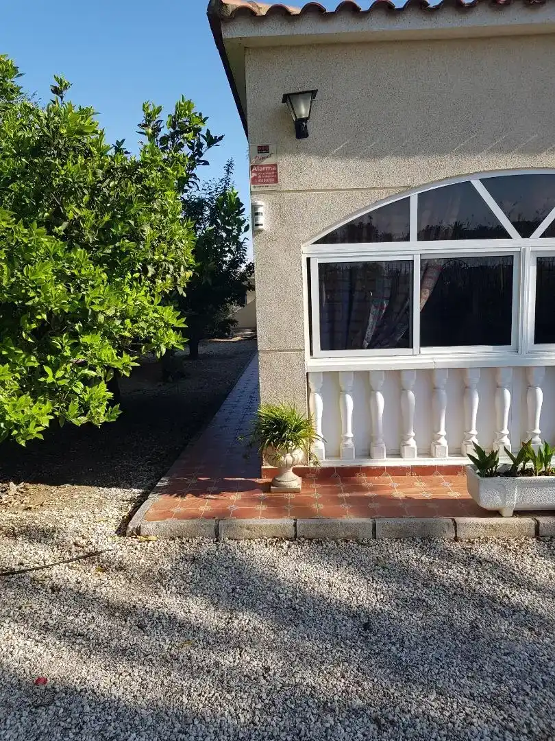 Vista exterior de Casa o xalet en venda en Elche / Elx amb Aire condicionat i Piscina
