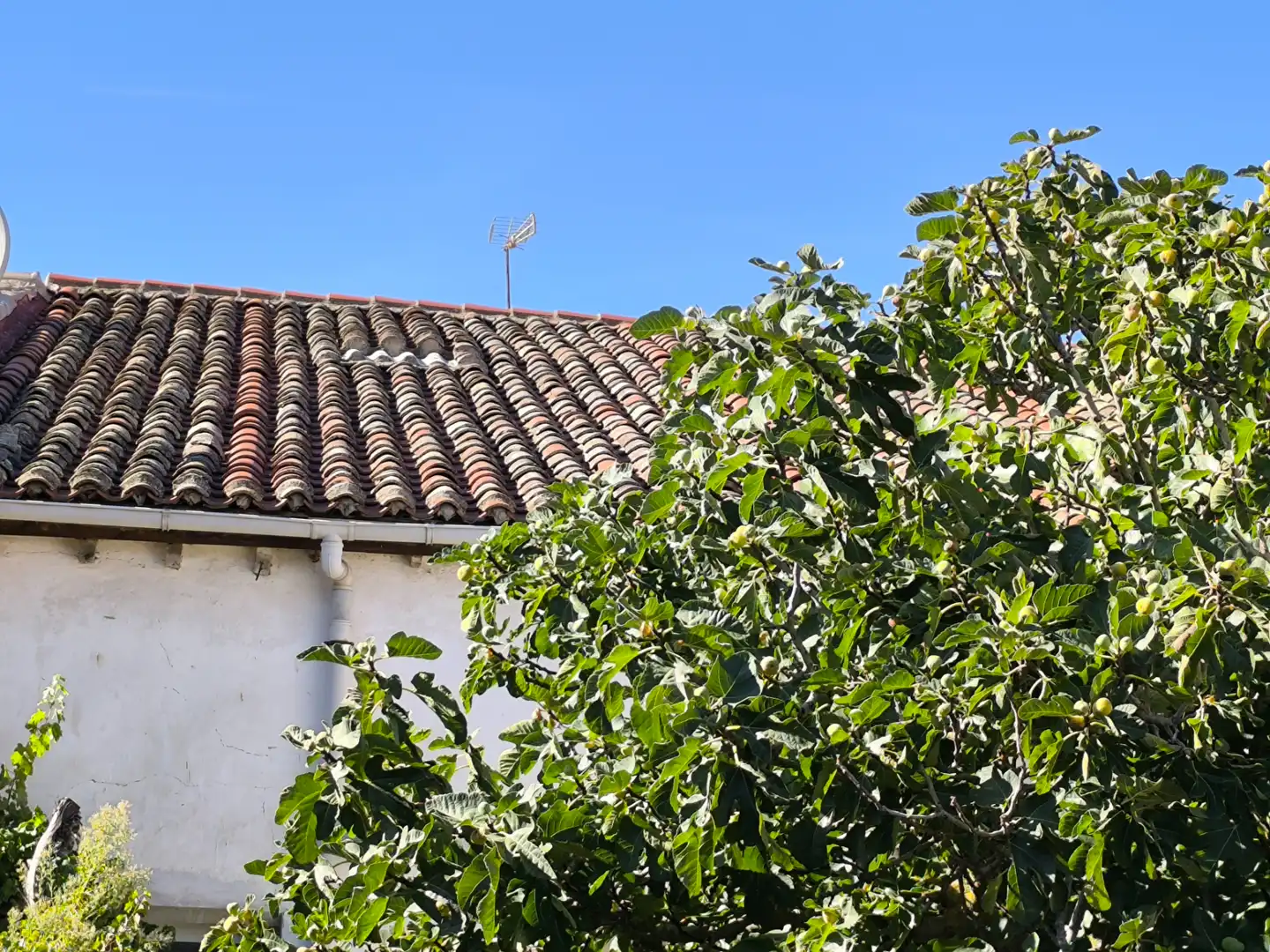 Casa con jardín en venta en Calle Abilio Calderón 3, imagen 56