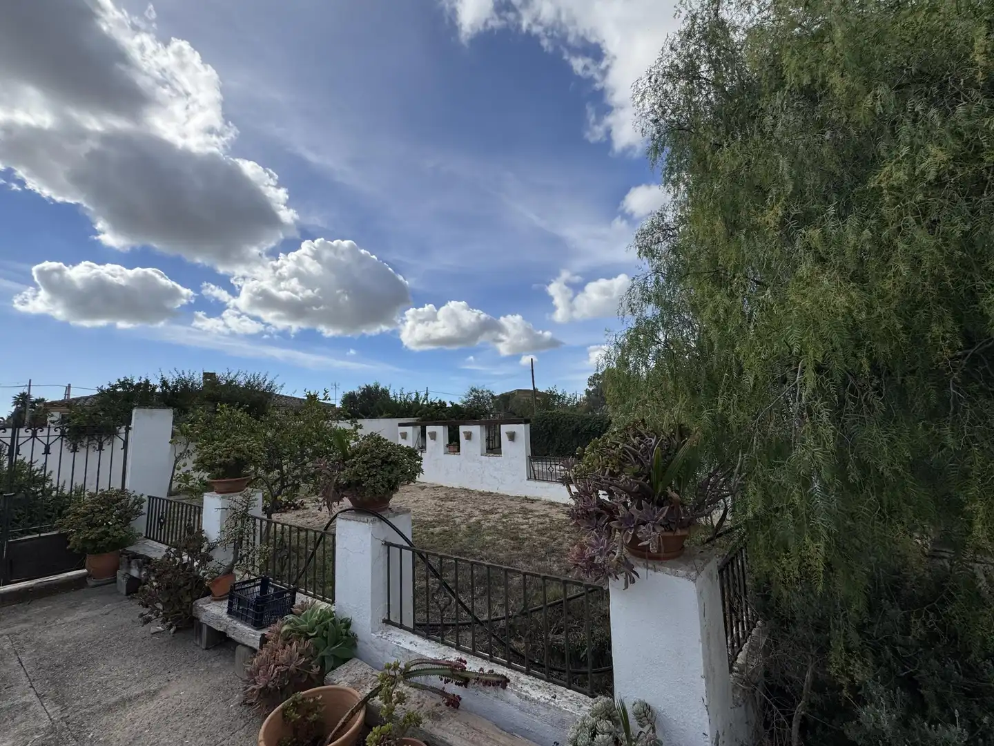 Vista exterior de Casa o xalet en venda en El Puerto de Santa María amb Jardí privat, Terrassa i Piscina