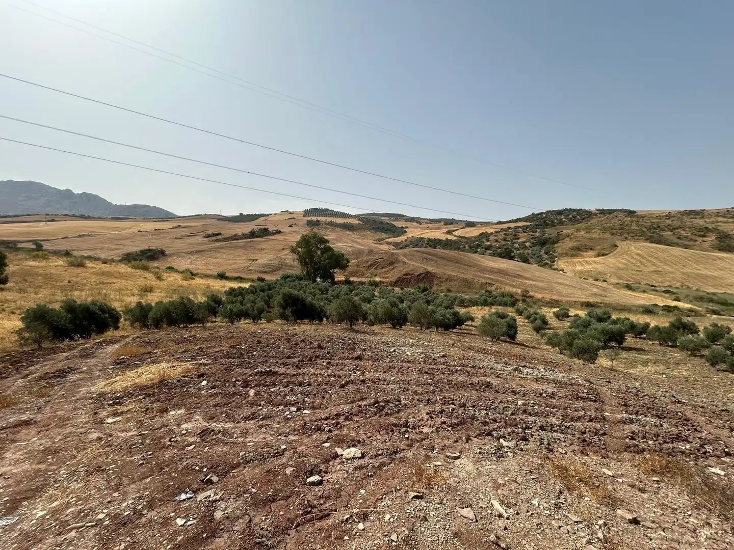 Terreni e lotti in vendita a Zona de la Vega, imagen 6