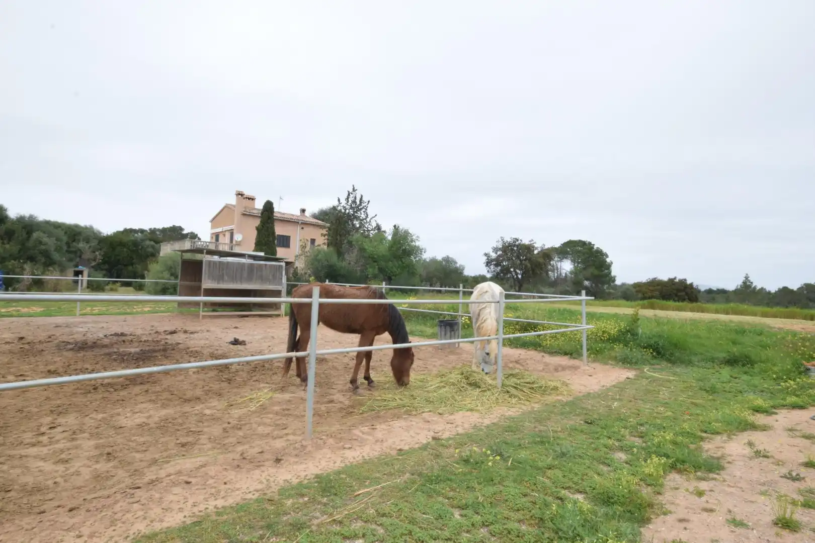 Residencial en venta en S'Aranjassa