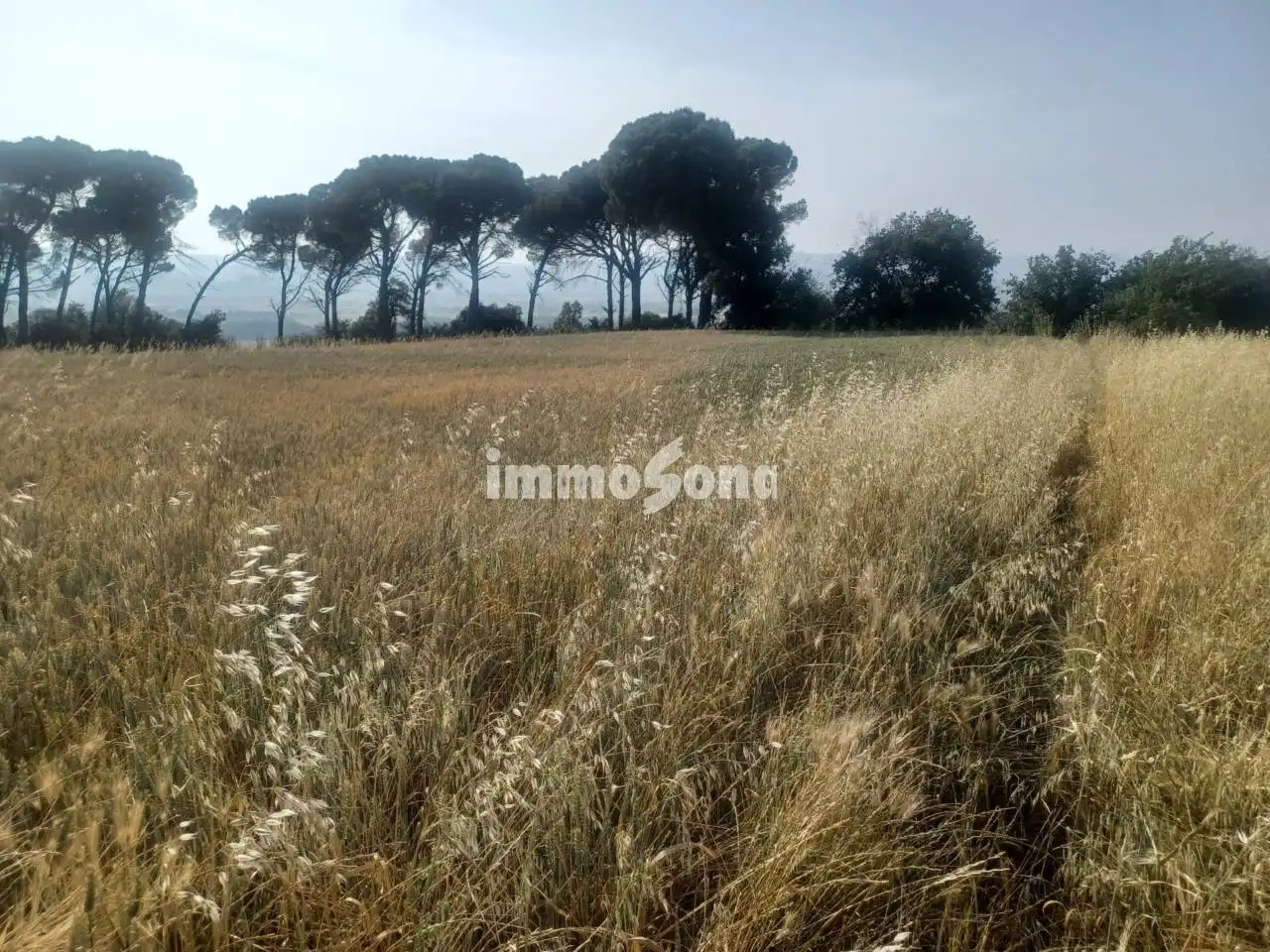 Rustikales Grundstück zum Verkauf in Taradell, imagen 5