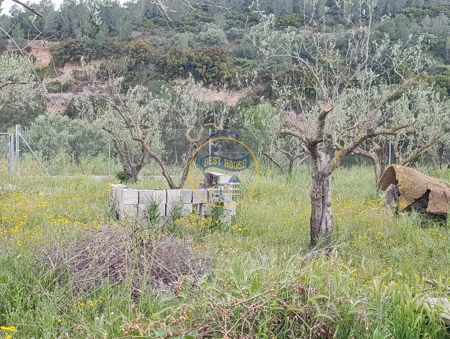 Casa o chalet en venta en Aielo de Malferit