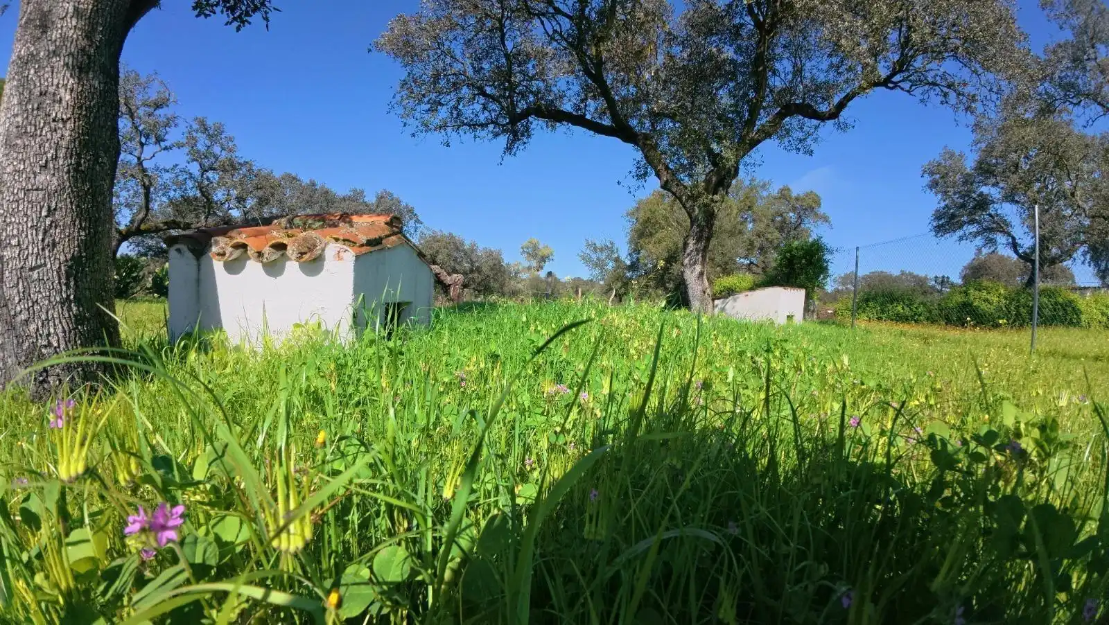 Casa o chalet en venta en Badajoz con Jardín privado, Terraza y Piscina