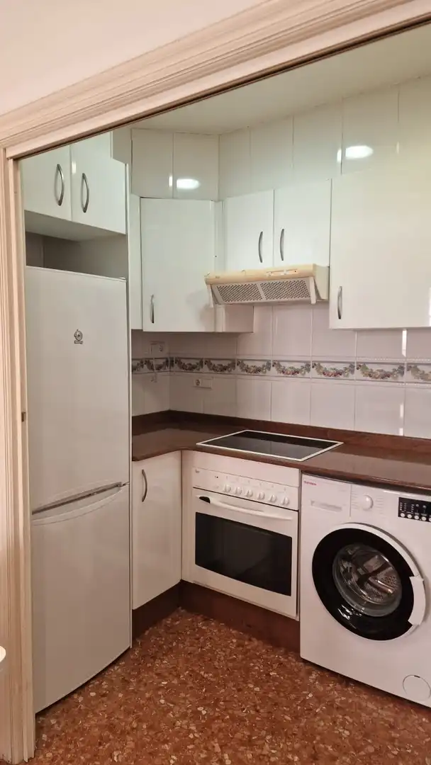 Flat with terrace to rent in Calle VINATEA, imagen 15
