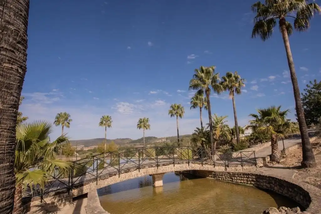 Piscina de Finca rústica en venda en Arcos de la Frontera amb Calefacció, Terrassa i Traster