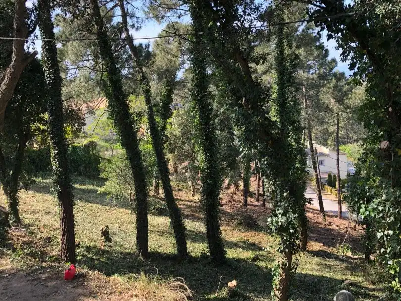 Wohnbaugrundstück zum Verkauf in Carre Baix Camp 32, imagen 5