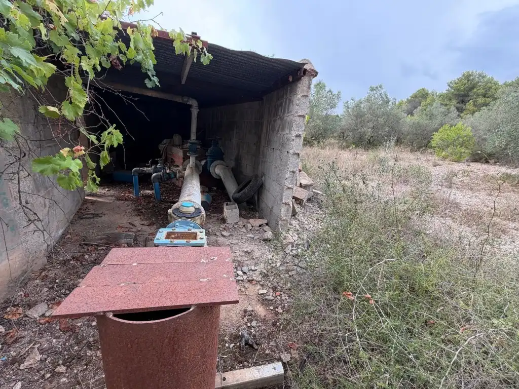 Casa rústica amb terrassa en venda a Altura, imagen 81