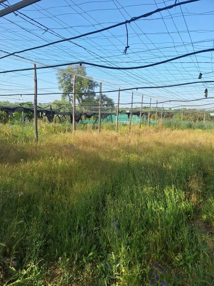 Terreni e lotti in vendita a Pedanías Norte, imagen 15