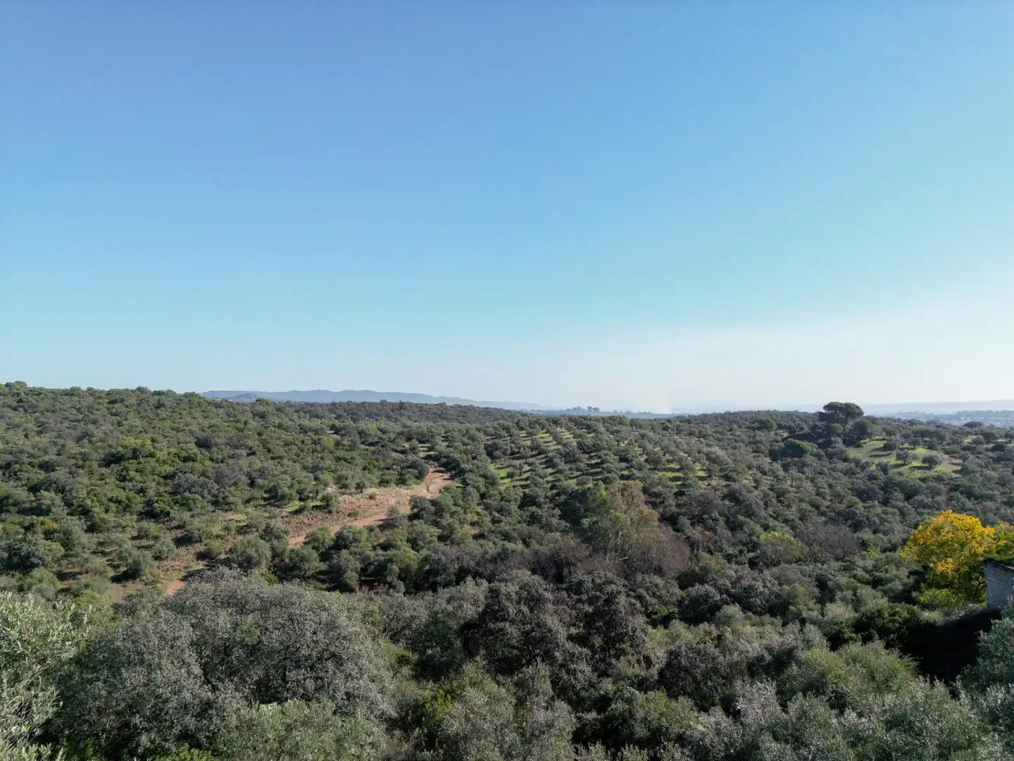 Wohnbaugrundstück zum Verkauf in Avenida san jose de calasanz, imagen 6