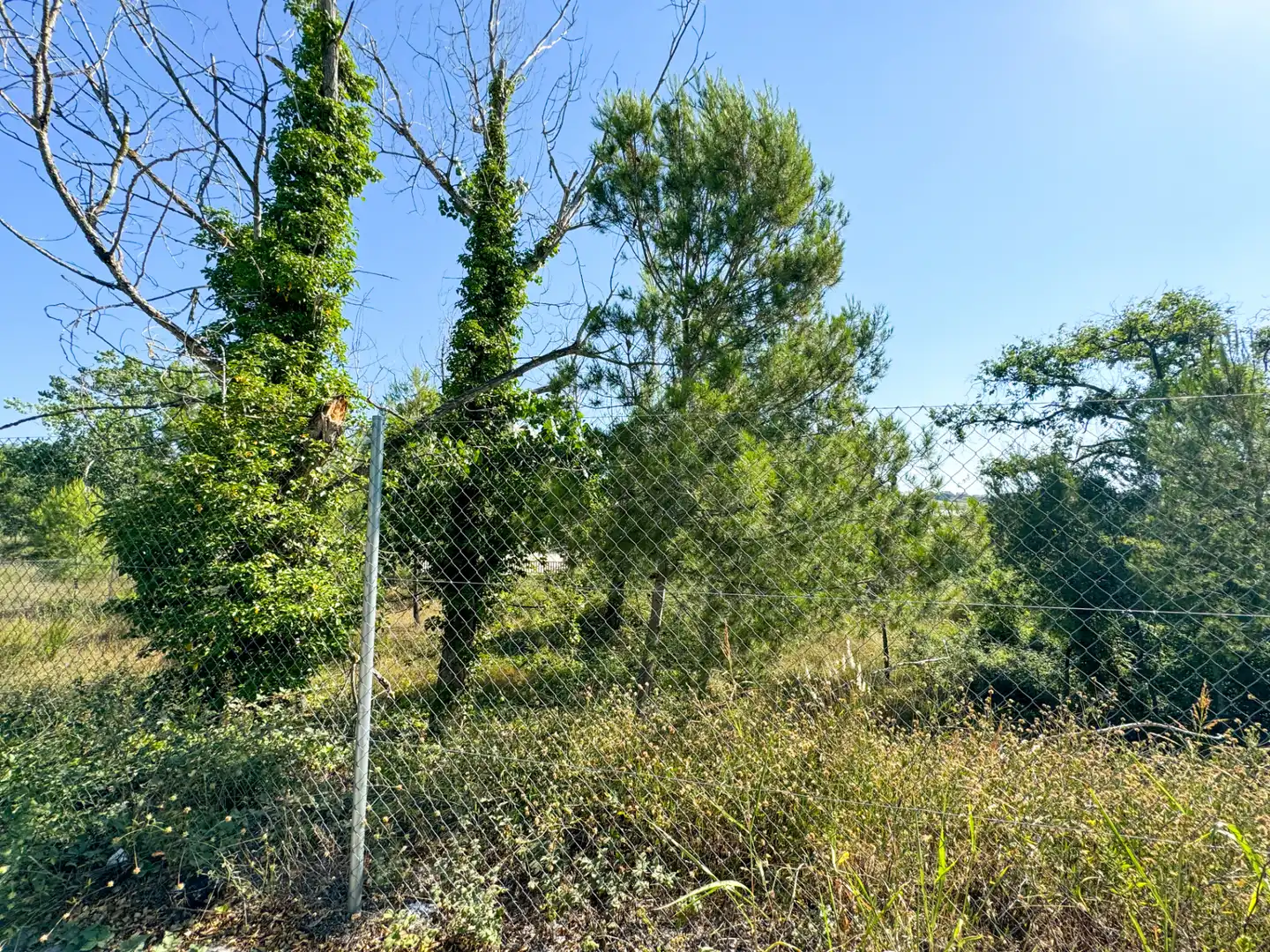 Terreno residencial en venta en Carrer de les Repassadores 5, imagen 4