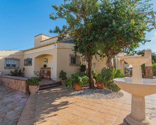 Vista exterior de Casa o xalet en venda en Torrevieja amb Calefacció, Terrassa i Traster