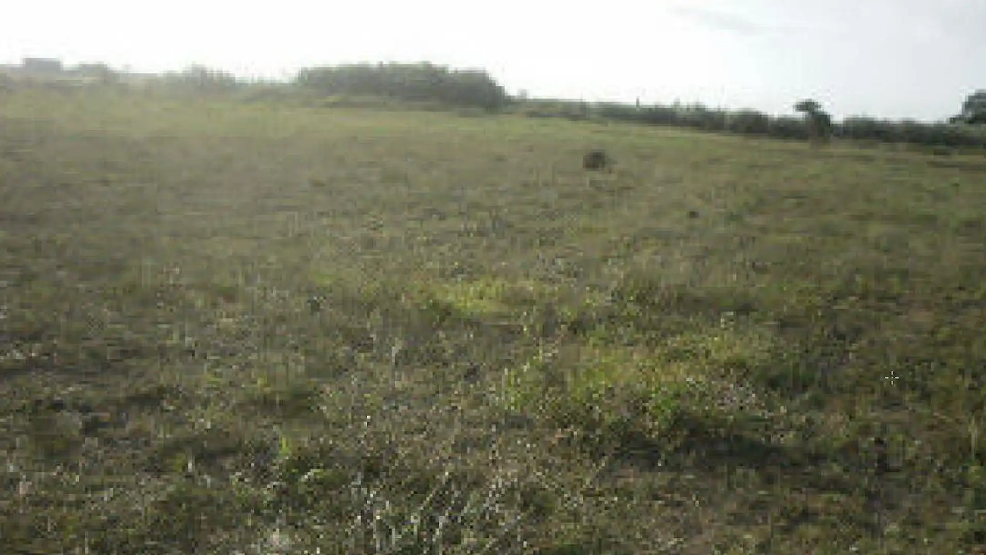 Terreno en venta en Amposta