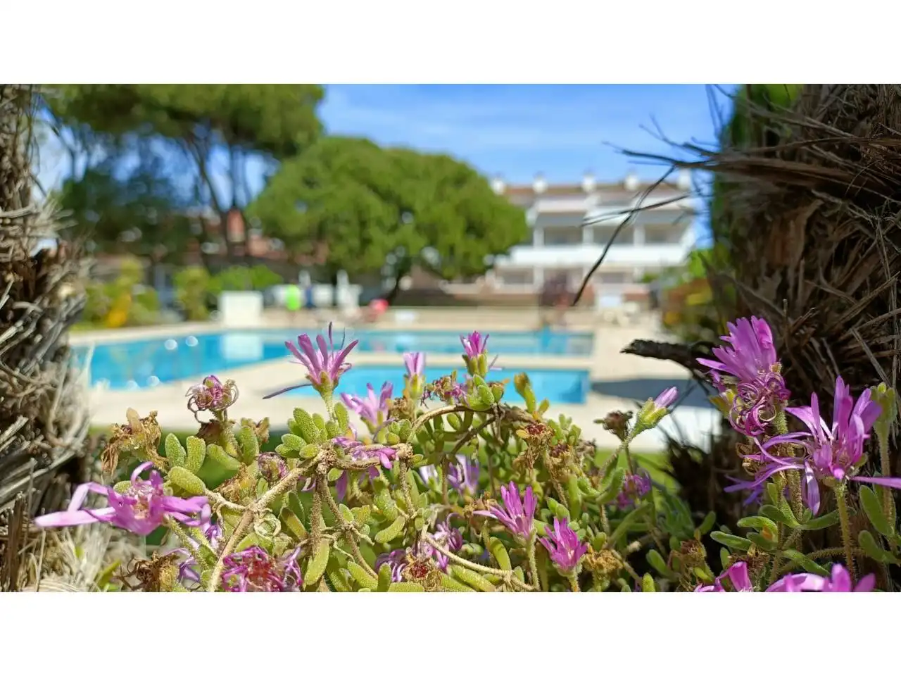 Piscina de Piso en venta en L'Escala con Terraza, Amueblado y Piscina comunitaria