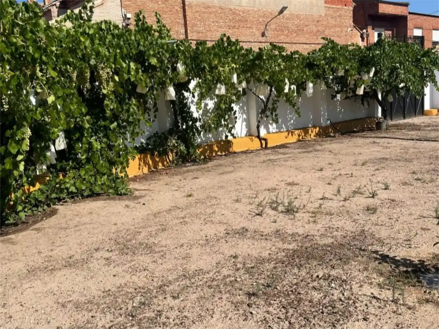 Jardín de Terreno en venta en Burujón