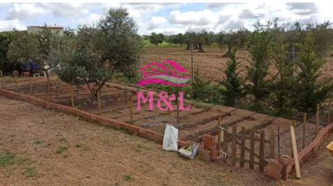 Photo 3 of Country house for sale in Este, Badajoz