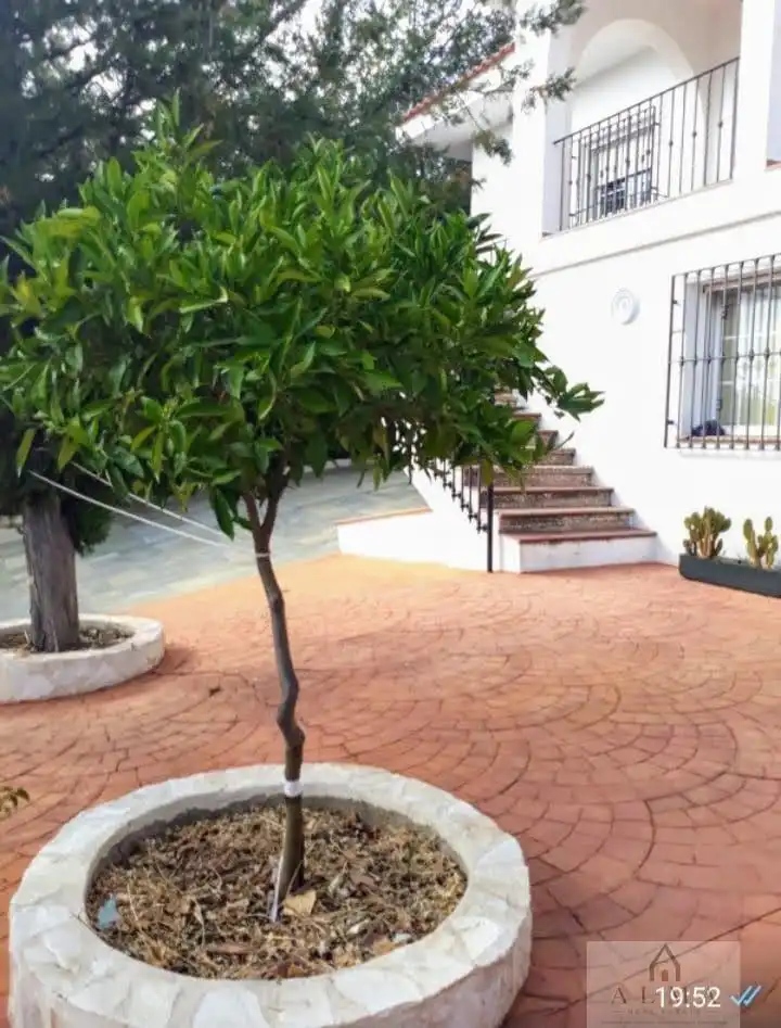 Chalet en venta en Almendralejo, imagen 3