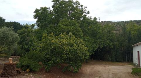 Foto 5 de Finca rústica en venda a Carretera de Nueva Carteya, Montilla, Córdoba