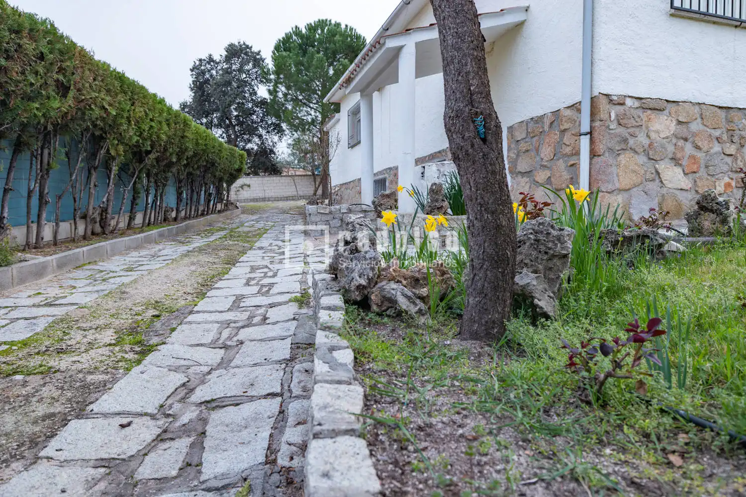 Xalet amb jardí en venda a Aldea del Fresno, imagen 51