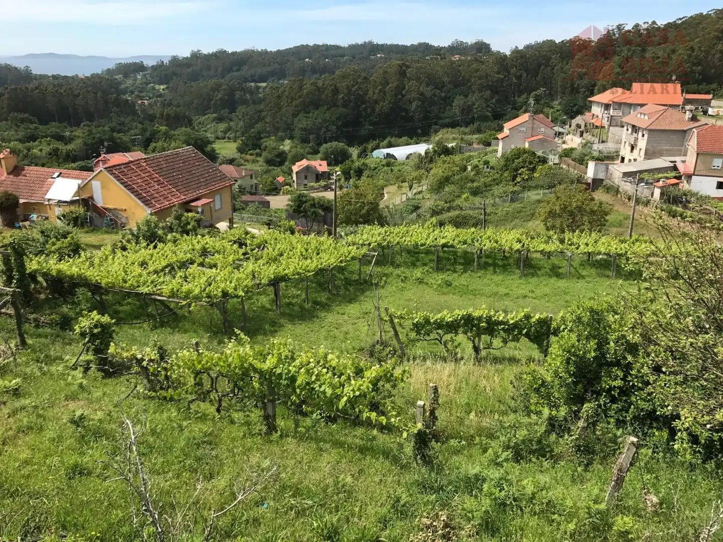Terreno rustico in vendita a Bueu, imagen 10