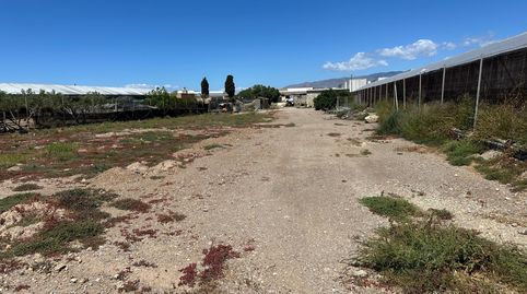 Foto 5 de Finca rústica en venda a San Isidro - Campohermoso, Níjar