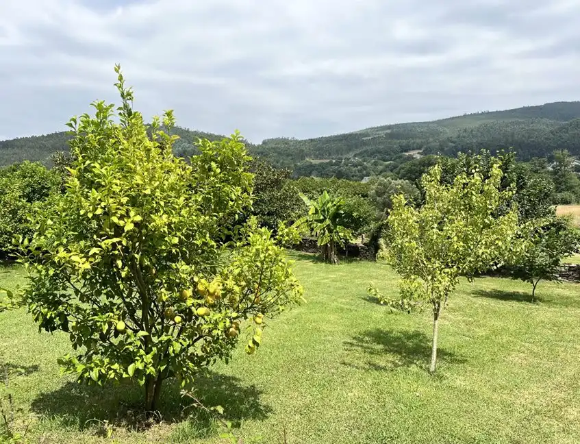 Edificio en venta en San Tirso de Abres