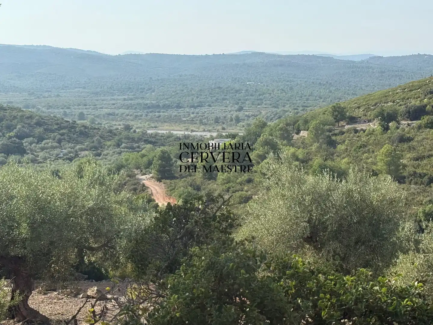 Terreno rustico in vendita a Cervera del Maestre, imagen 11