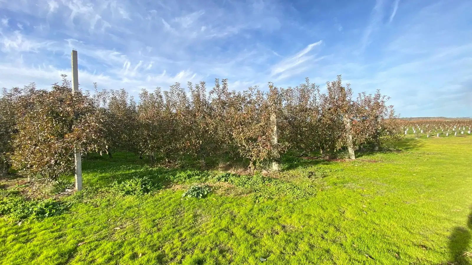 Terreni e lotti in vendita a Alagón del Río, imagen 22